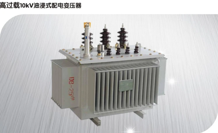 Immersed Transformer
